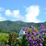 Tatil Evi Casa Da Fonte - Historisches Steinhaus Auf Den A By Interhome *