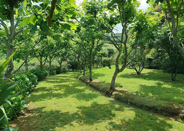 Casa Da Fonte - Historisches Steinhaus Auf Den A By Interhome