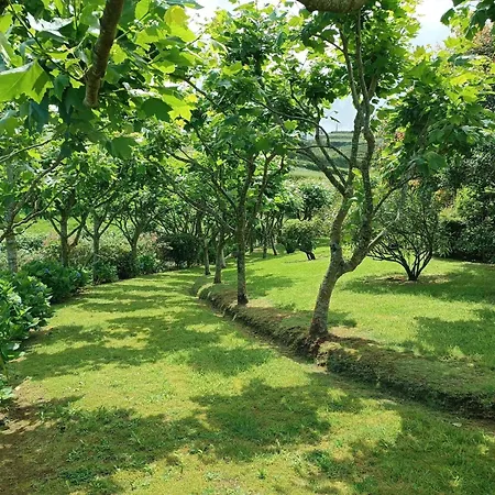 Casa Da Fonte - Historisches Steinhaus Auf Den A By Interhome