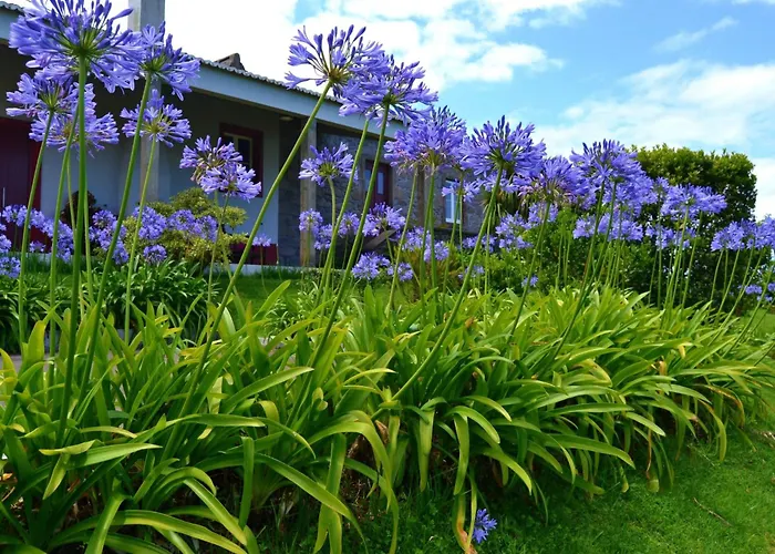 Casa Da Fonte - Historisches Steinhaus Auf Den A By Interhome *