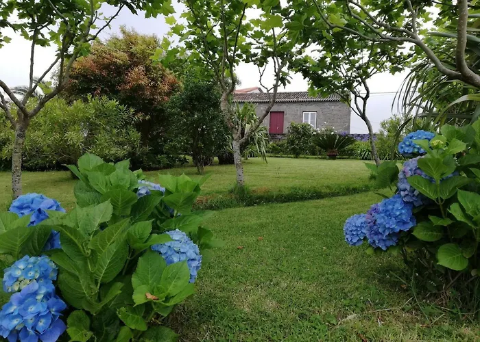 Casa Da Fonte - Historisches Steinhaus Auf Den A By Interhome Algarvia